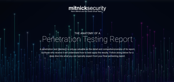 The Anatomy of a Penetration Testing Report [An Infographic]